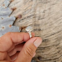 Image 3 of Rainbow Moon, US 8.75