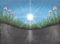 Image 1 of  Mycelial Mentations (Liberty Caps) Giclée Fine Art Print