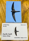 Pacific Swift - No.89 - UK Birding Pins - Enamel Pin Badge