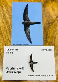 Image 1 of Pacific Swift - No.89 - UK Birding Pins - Enamel Pin Badge