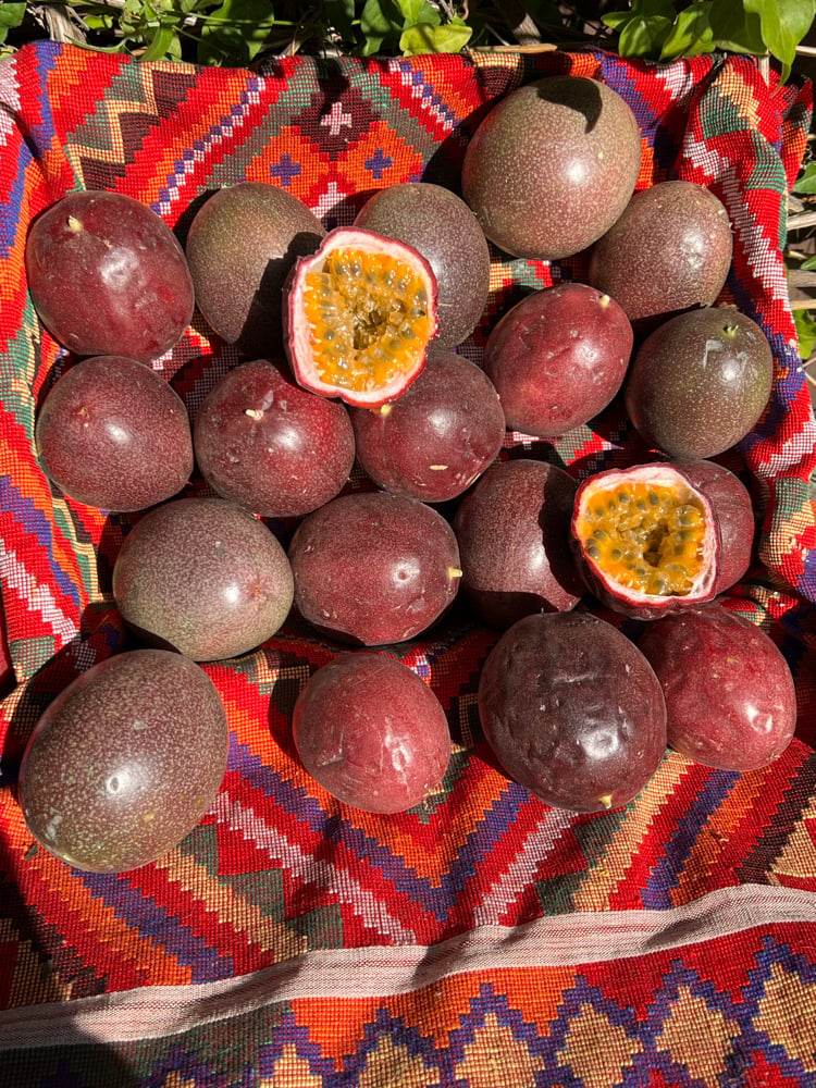 20 Pounds Passion Fruit #2