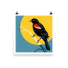 Red-winged blackbird