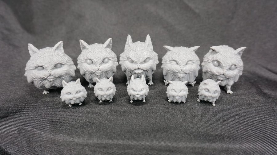 Image of Loth Kittens