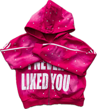 Image 5 of I NEVER LIKED YOU