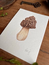 Image 2 of Morel mushroom Original Painting 