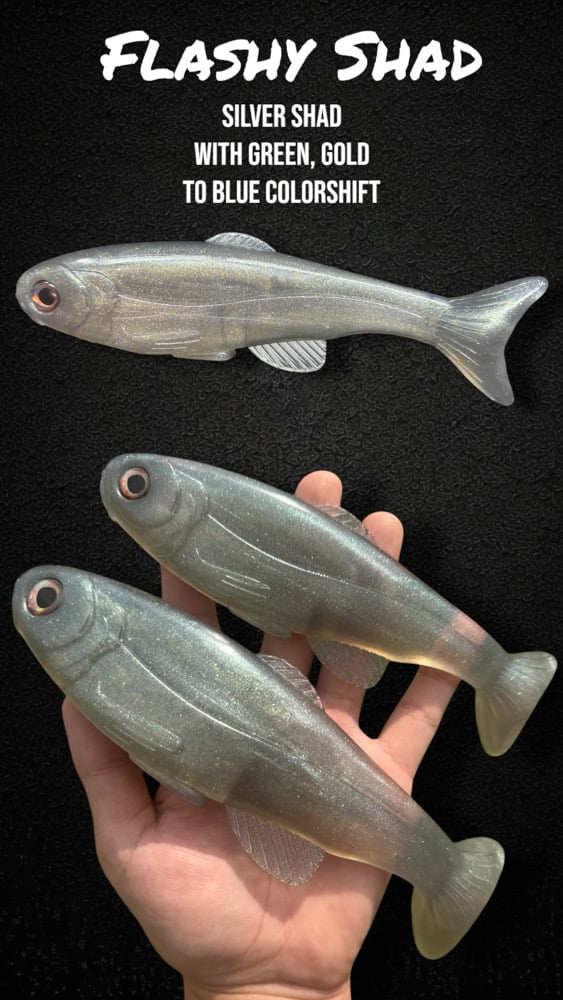 Roma Trout - Flashy Shad - Image 3