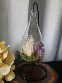 Image 1 of Glass Teardrop Terrarium Set With Natural Quartz Crystal & Stand - Everything Included 