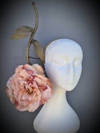 Image 3 of 'Wendy' in Apricot blush