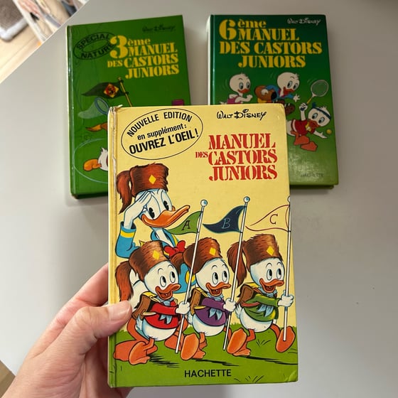 Image of LOT 3 MANUELS DES CASTORS JUNIORS