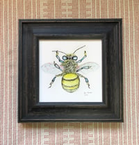 Image 2 of Honey Bee