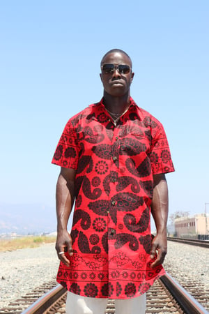 Image of The Chike shirt - paisleys 