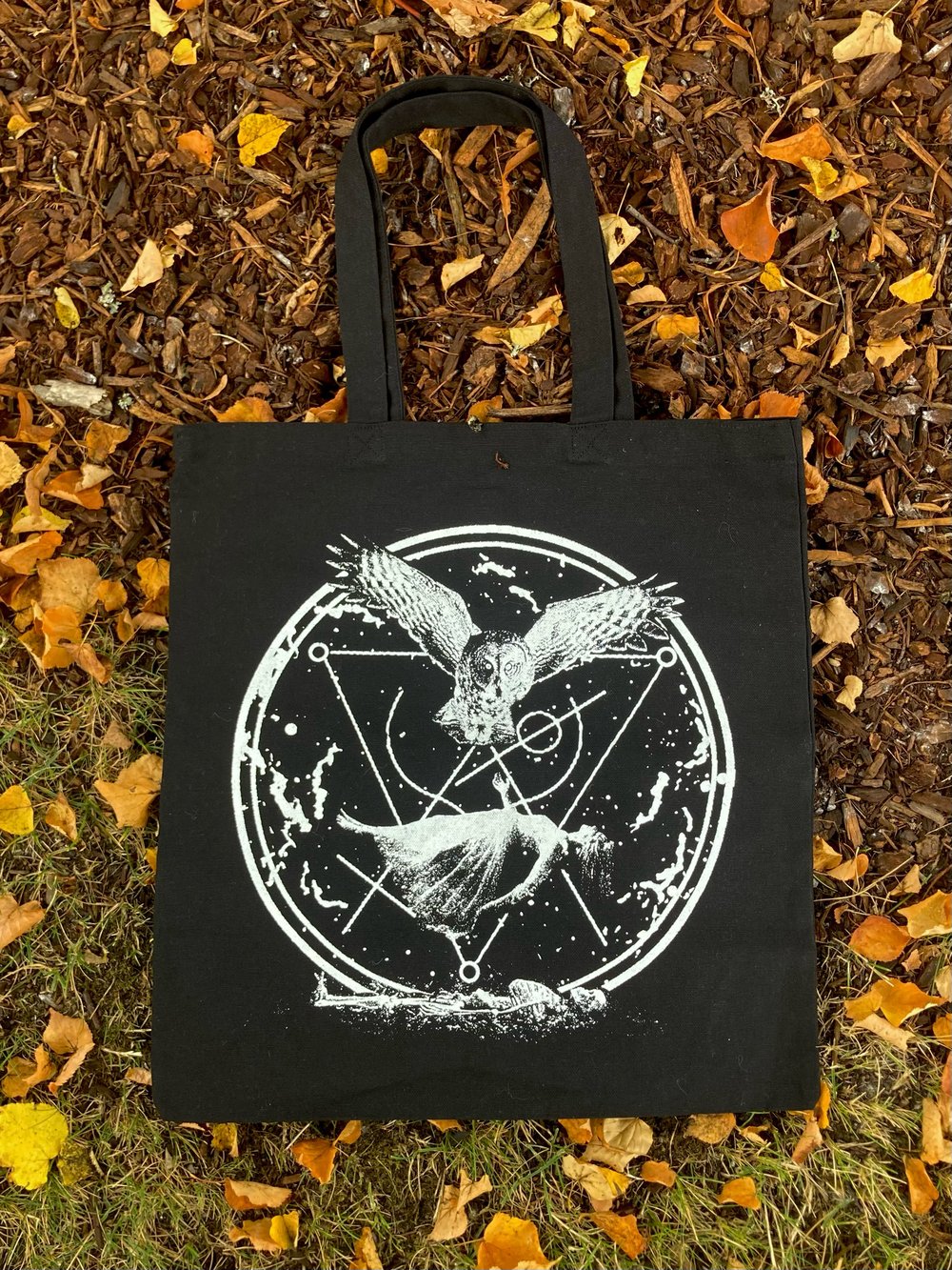 STRIGIDAE SORCERY 