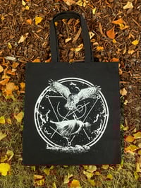 Image 1 of STRIGIDAE SORCERY 