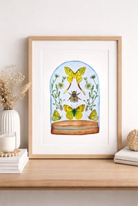 Image 1 of Insect Art Print April Dome, Under Glass Collection copy