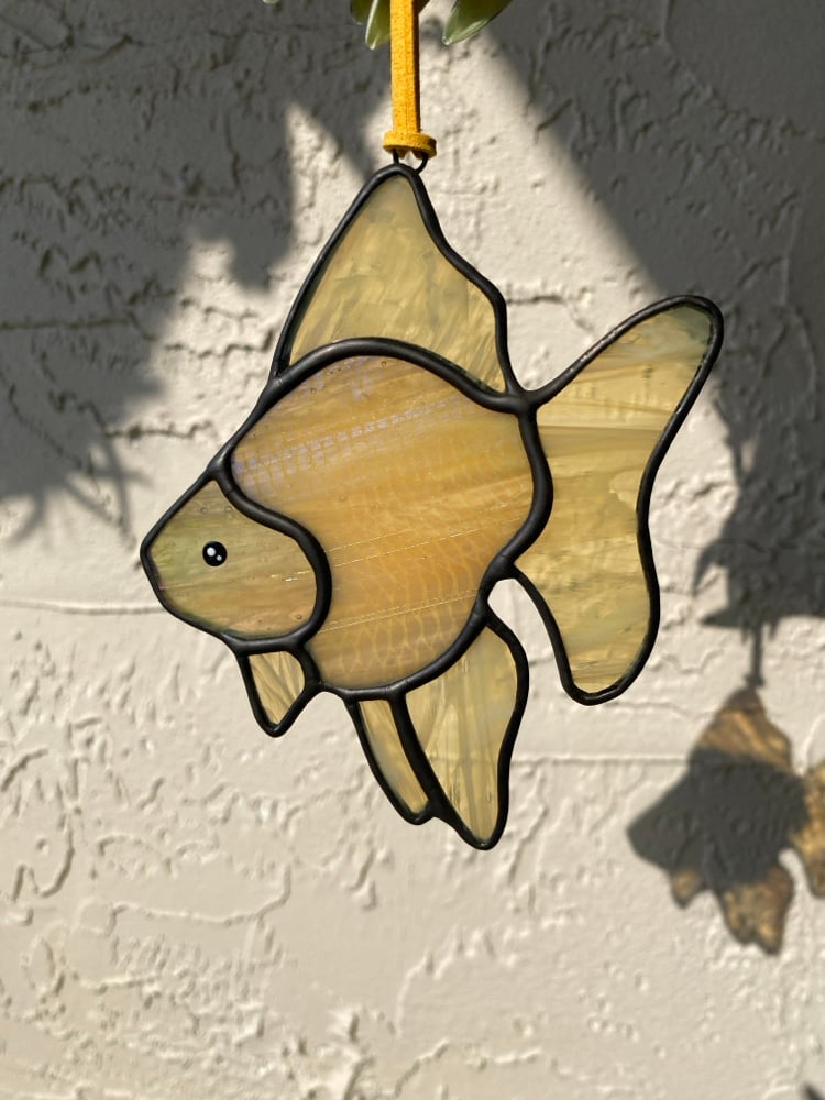 Image of GOLD Ryukin Goldfish
