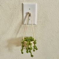 Image 3 of Plant Hangers 