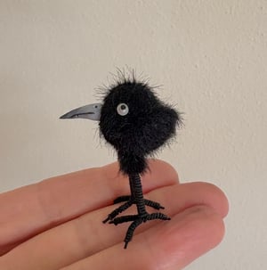 Image of Very Tiny Raven Baby #2