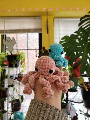 mystery mini octopus