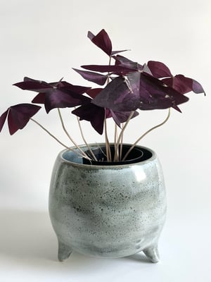 Image of Sage planter 