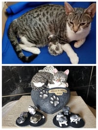 Image 13 of Custom Engraved Handpainted Cat On Pawprint Rock Urn 