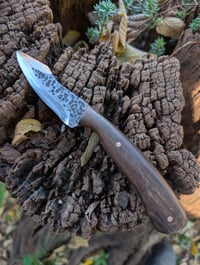 Image 2 of SPEARHEAD COMPANION