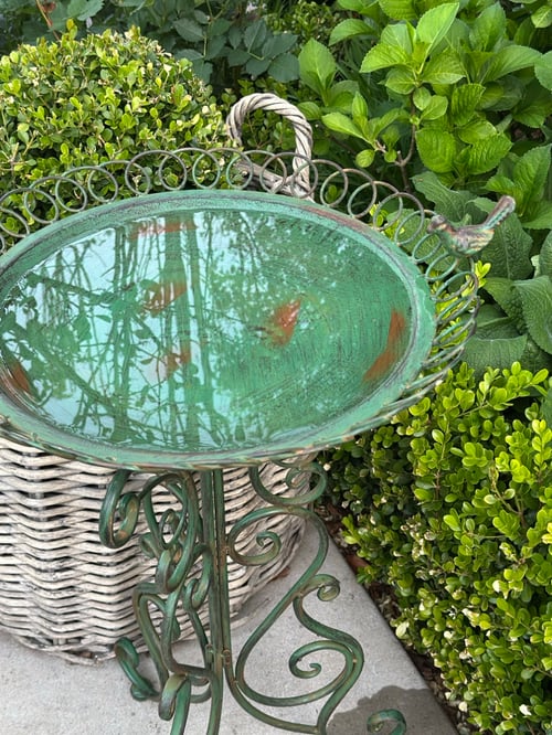Image of Orangerie Bird Bath