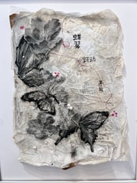 Image 2 of Wings Upon the years- Eva Young 