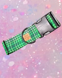 Image 1 of Custom | 50mm Dog Collar