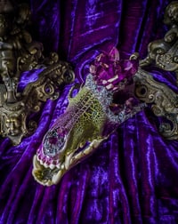 Image 3 of Purple Quartz & Carborundum - Coyote Skull