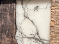 Image 1 of Among the Trees- BG Mills