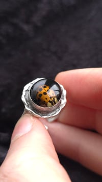 Image 1 of Ladybird adjustable ring