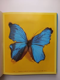 Image 7 of Damien Hirst - I Want to Spend the Rest of My Life Everywhere, with Everyone, One to One, Always