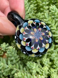 Image 1 of Harmony