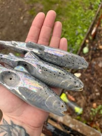 Image 2 of Speckled Trout 