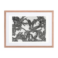 Image 1 of Framed poster of Monachopsis