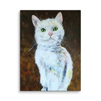 Image 1 of Amber White Kitty