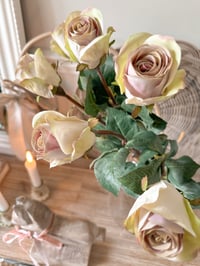Image 1 of Apple Rose Bouquet ( 6 Stems )