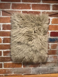 Image 5 of RECTANGLE