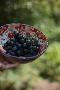 Image 3 of Mittelgrosse Schale, rot-blau, chinesisch (?) handbemalt