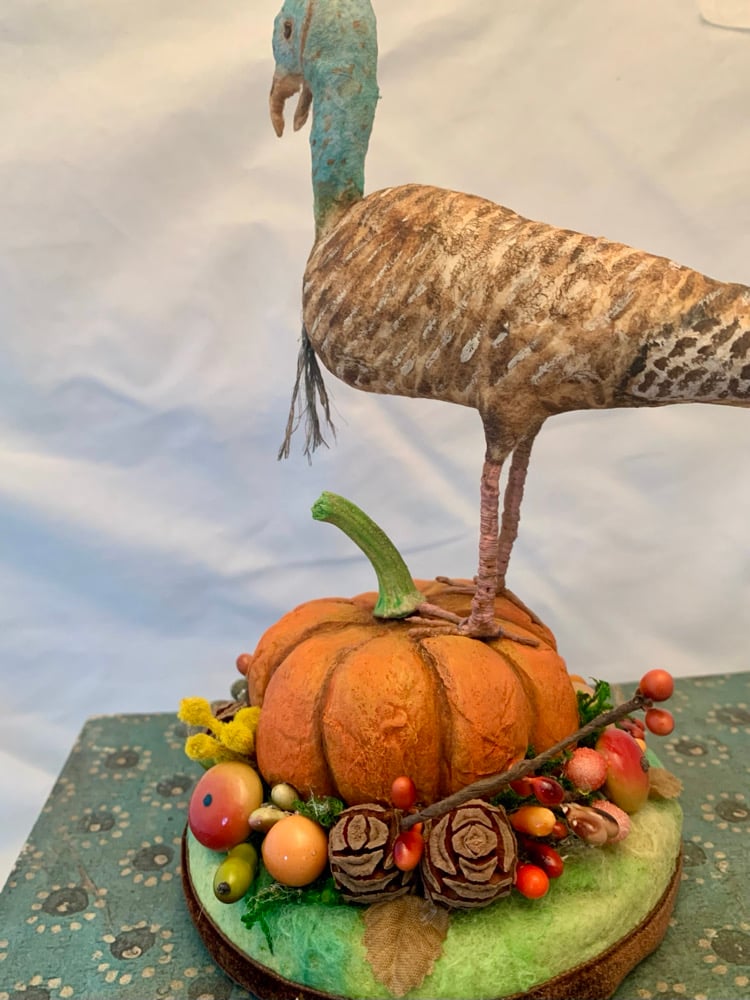 Image of Turkey Hen Figure 2