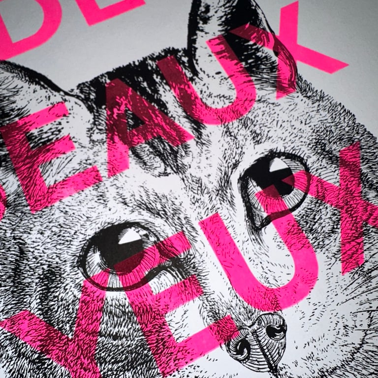 Affiche « Tu as de beaux yeux tu sais » version chat chat  Image 2