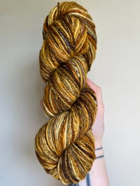 Image 1 of Earth Tone SW Merino 