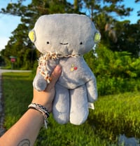 Image 1 of Gray Terry Bot