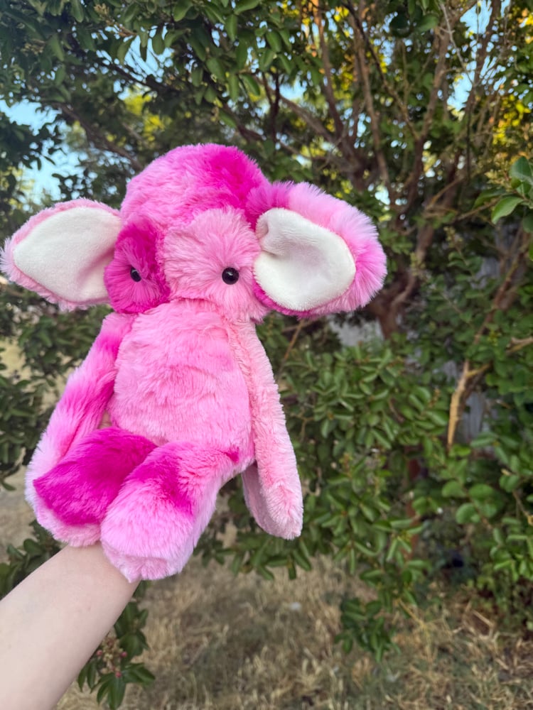 Image of Pinky