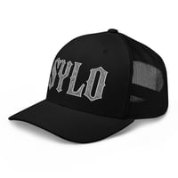 Image 4 of sylo paisley Trucker Cap