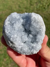 Image 1 of Celestite Cluster Specimen #1929
