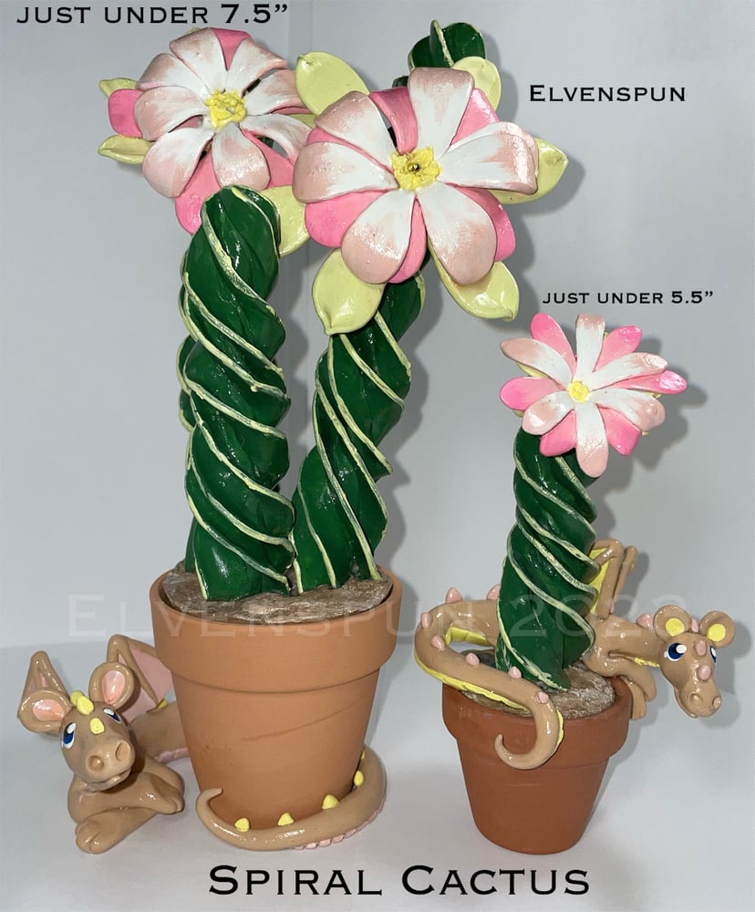 Image of 2023 Flowerpot Dragons