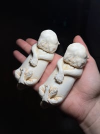 Image 3 of Diprosopus kitten 