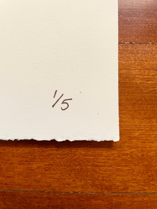 Helmeted Honeyeater (Super Limited Edition)