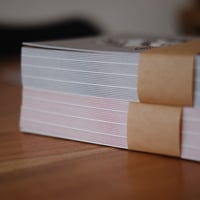 Image 3 of Flower Vase Print